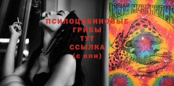 СК Мегион