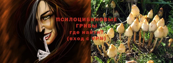 героин Алексин